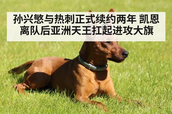 孙兴慜与热刺正式续约两年 凯恩离队后亚洲天王扛起进攻大旗