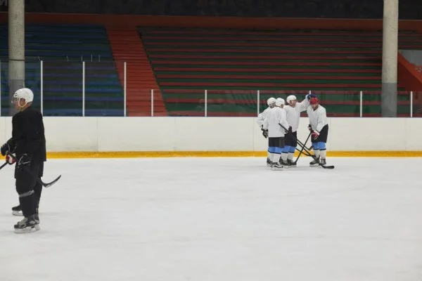 hockey team players